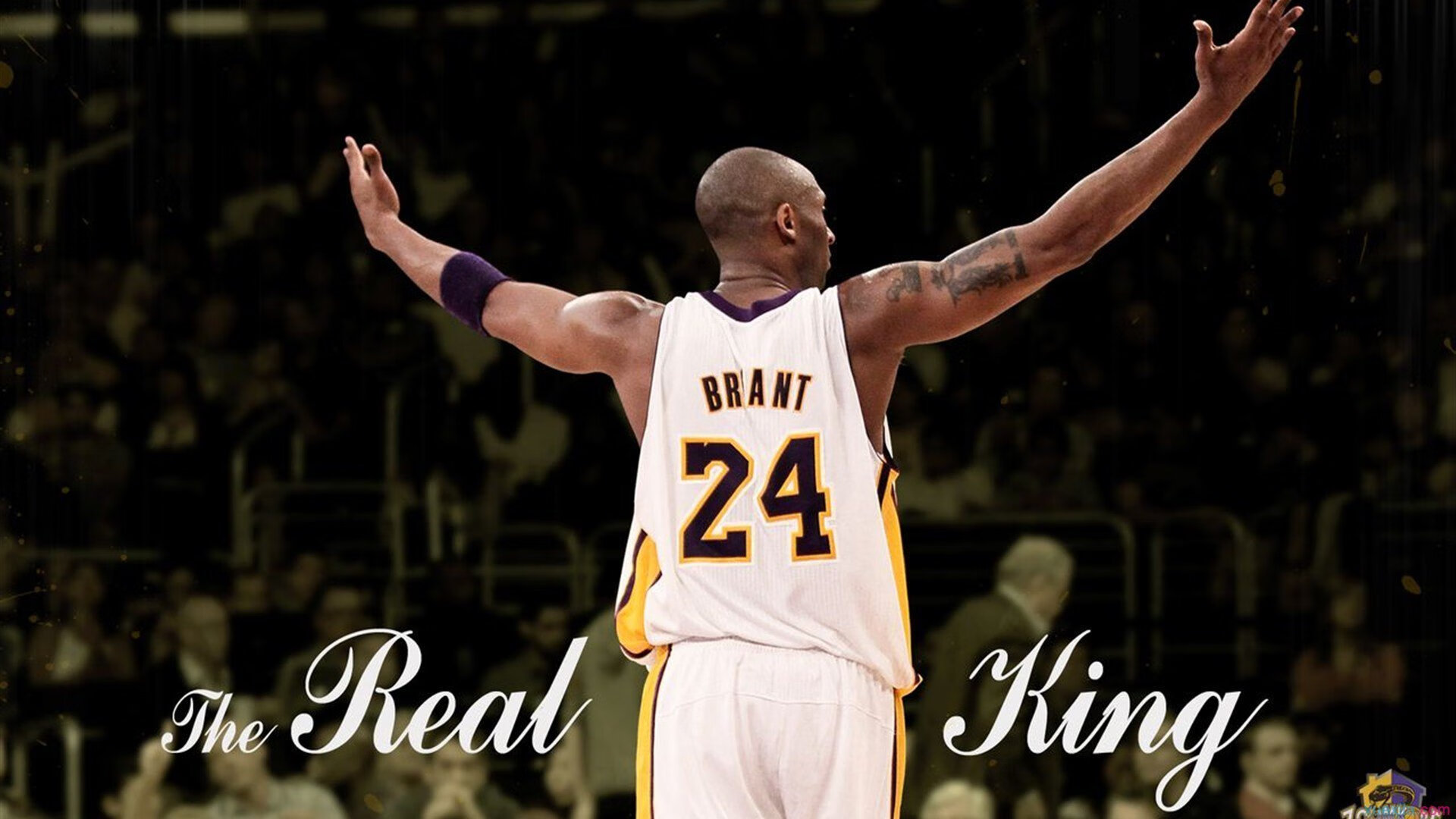 曼联训练营曝光年轻小将崭露头角，曼联青训未来六大巨星